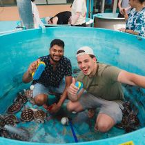 Foto de UpGuard de: Cleaning turtles at the Marine Biological Research Centre and Maikhao Turtle Foundation