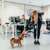 Foto de Critical TechWorks de: Meet the reason that brings joy and creates a comfortable and flexible environment. EmÃ­lio is the trigger of interactions and camaraderie.
