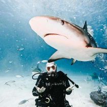 Foto de Tidal Remodeling de: Recent Bermuda Scuba diving trip